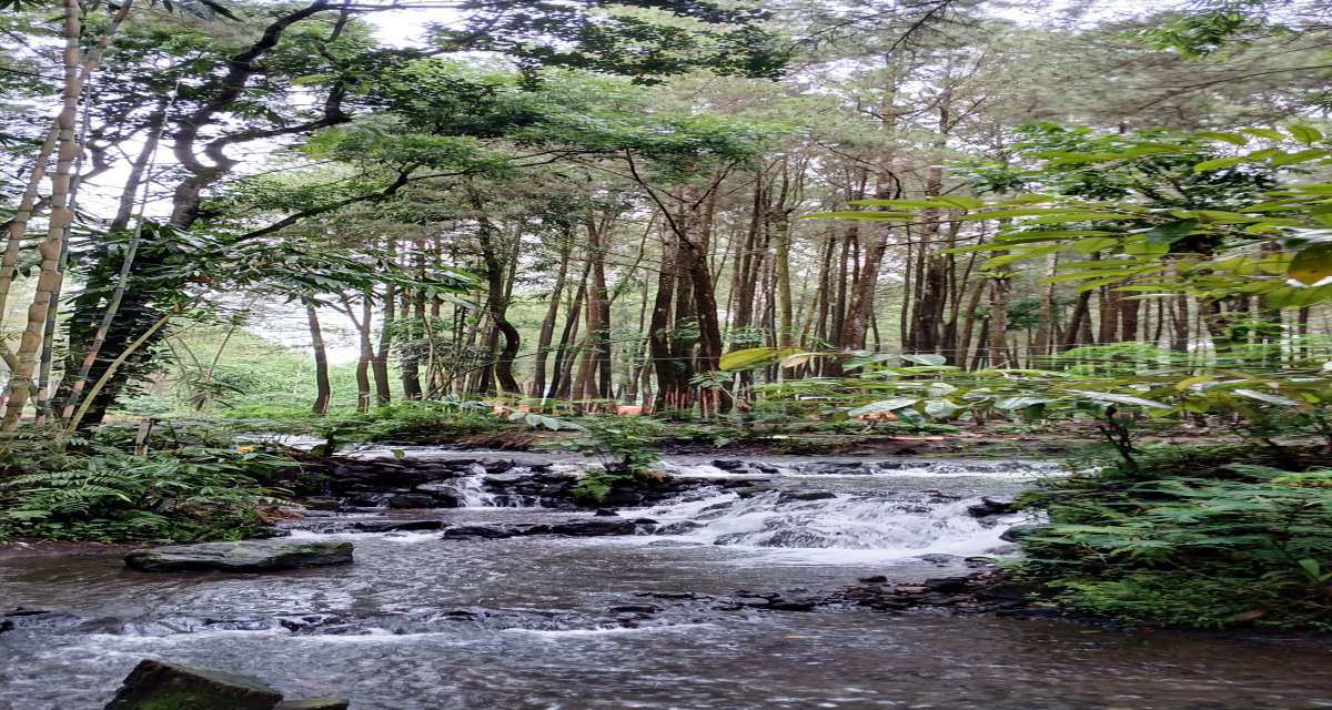 Destinasi Wisata Alam Kali Pinusan Poncosumo